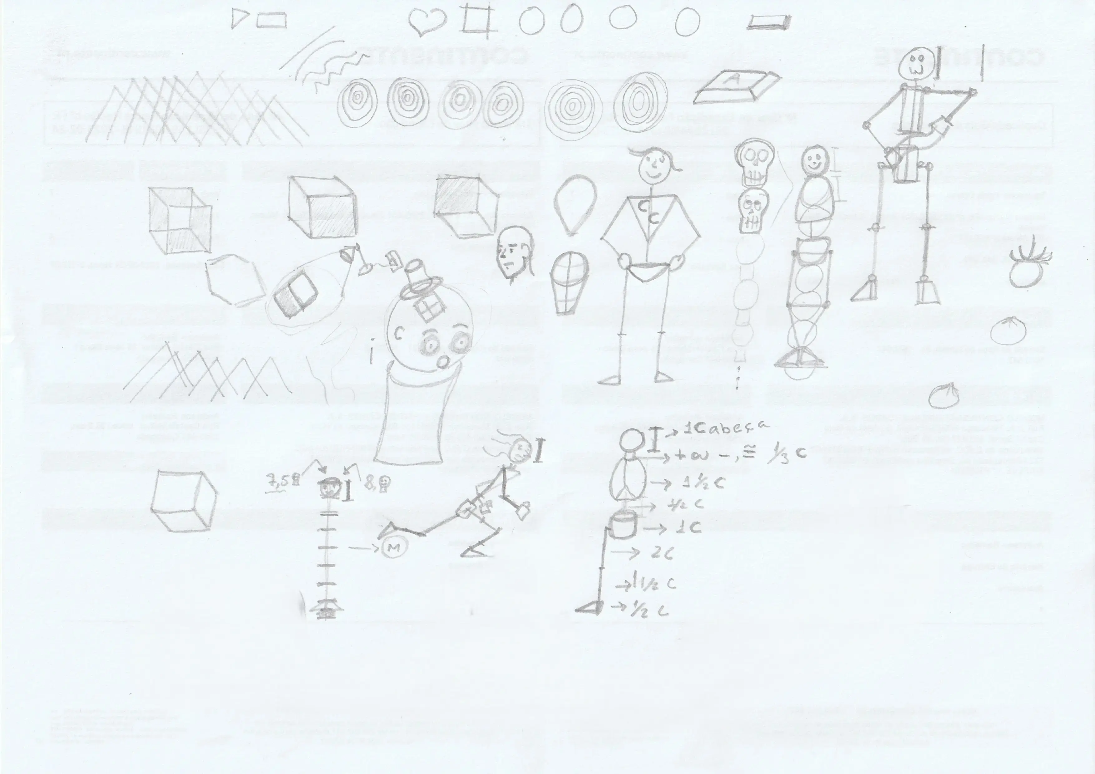 Anatomical Structure Study 01