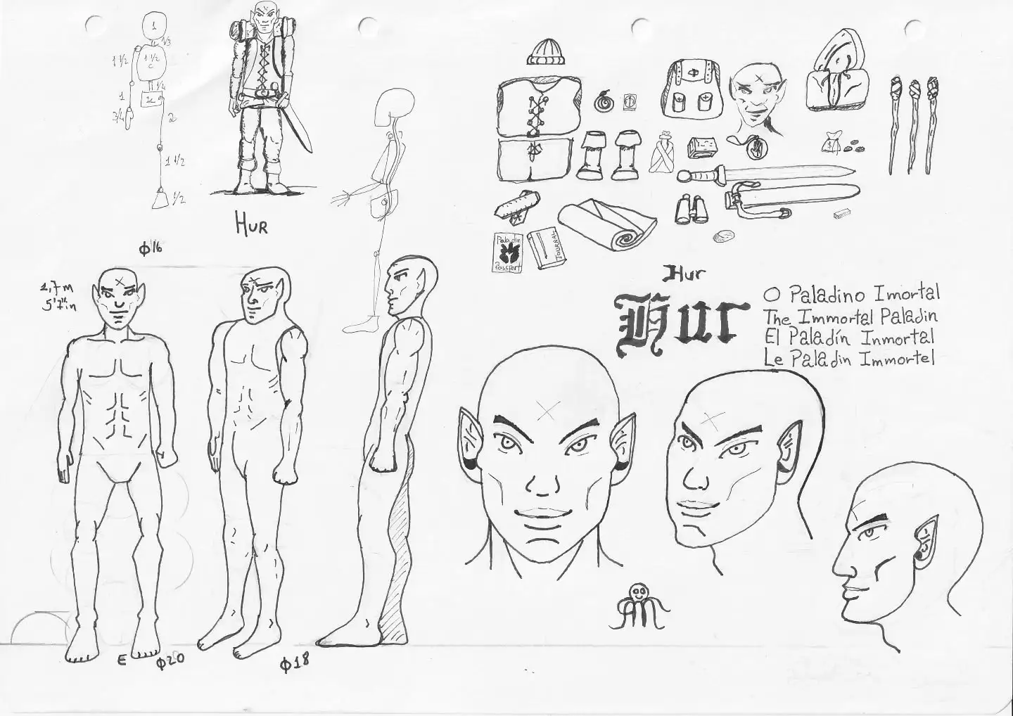 Anatomical Structure Study 11